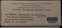 Image Associated With the Occurence